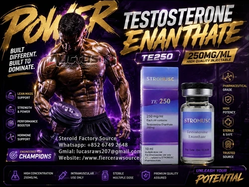 Testostewòn Enanthate (TE250): Famasetik-Kalite ak fabrikasyon Insights