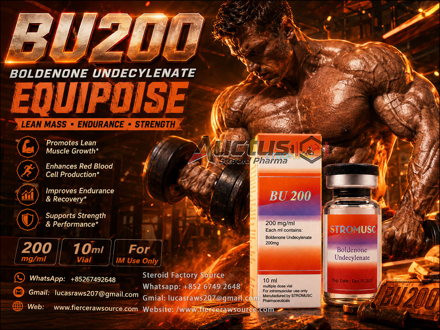 BU200-Boldenolone-Undecylenate-200mg-Oil-Injection1 BU200-Boldenolone-Undecylenate-200mg-Oil-Injection1