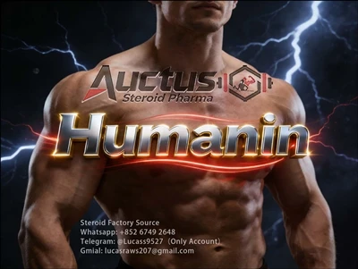 Humanin: Bioaktivite pwisan nan yon ti peptide mitokondriyo - bati yon baryè ...