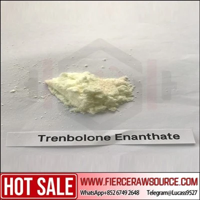 Premium Kalite Trenbolone Enanthate Raw Powder CAS: 10161-33-8