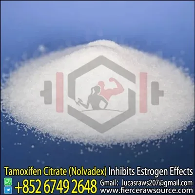 Tamoksifèn Sitrat (Nolvadex) Raws Powder CAS:54965-24-1